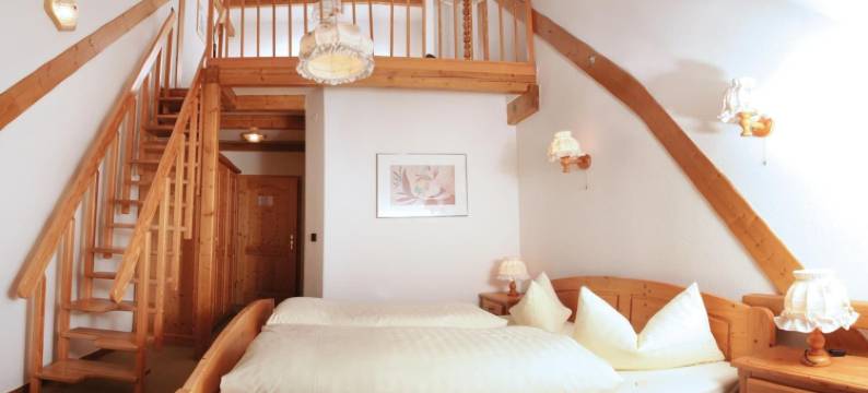 罗德巴赫穆勒酒店(Hotel Rodebachmühle)图片