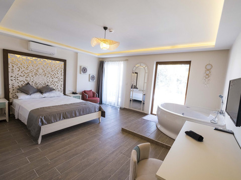 伊卡洛斯阿拉恰提 +16