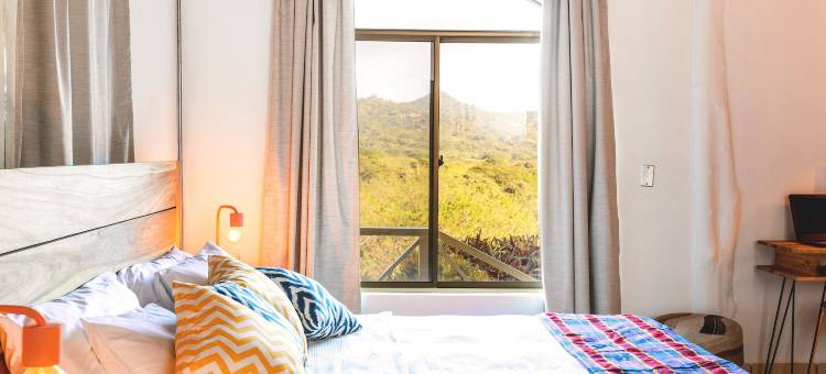 Socialtel 马德拉斯(Socialtel Maderas - Formerly Selina Maderas)图片