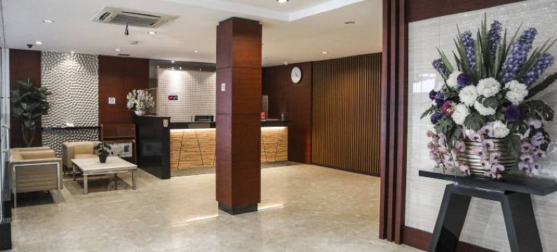 巴淡哈纳酒店(Hana Hotel)图片