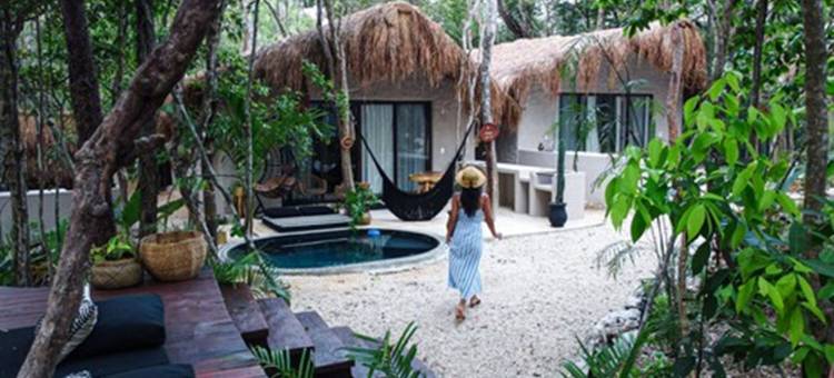 黄色巢穴(The Yellow Nest Tulum)图片