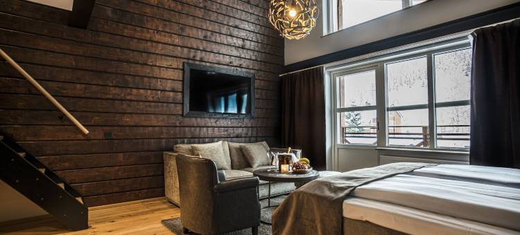 艾瑞克斯花园福尔酒店(Eriksgårdens Fjällhotell)图片