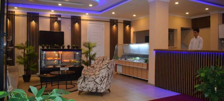 库斯玛尔机场酒店(Istanbul Airport Kumsal Otel)图片