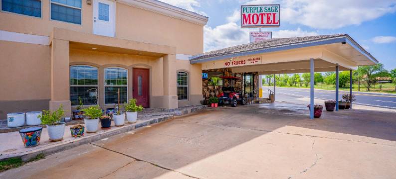 OYO Snyder TX 紫色鼠尾草(Purple Sage by OYO Snyder TX)图片