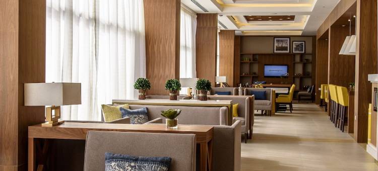 皮耶德拉斯内格拉斯希尔顿欢朋酒店(Hampton Inn by Hilton Piedras Negras)图片