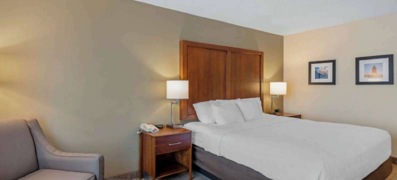 舒适套房酒店(Comfort Inn & Suites)图片