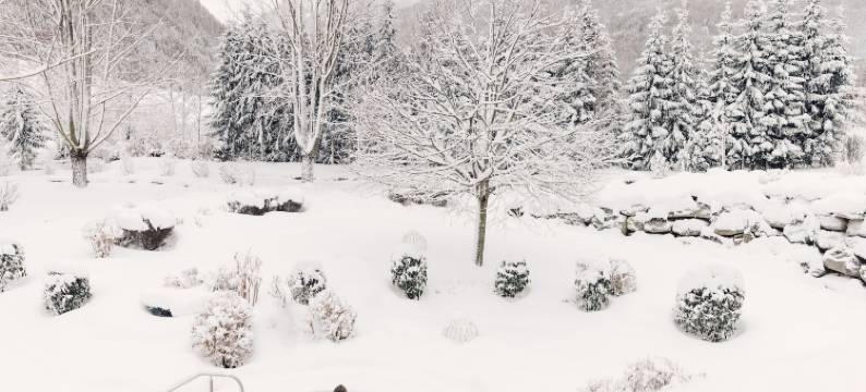 高山宫殿奢华藏身处 SPA 度假酒店(Alpenpalace Luxury Hideaway & Spa Retreat)图片