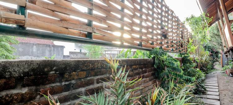 洛荣家庭旅馆(Lorong Homestay)图片