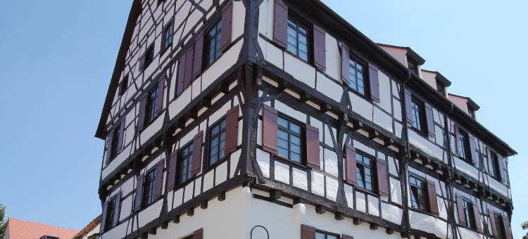 贝斯特韦斯特优质必尔库图什旺宁酒店(Best Western Plus BierKulturHotel Schwanen)图片