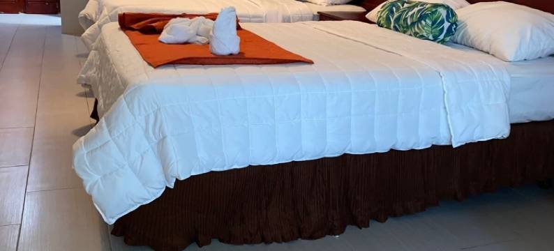 西棕榈酒店(West Palm Hotel)图片