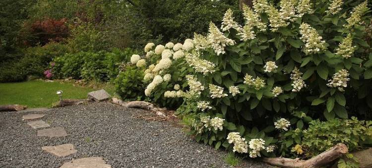 霍森斯住宿加早餐酒店(Bed & Breakfast Horsens)图片