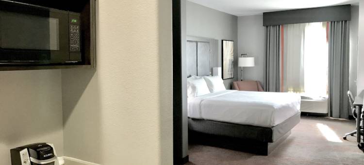 Holiday Inn 阿比林(Holiday Inn Abilene - North College Area)图片