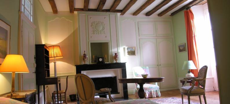 城堡连锁普莱西-安茹酒店(Château du Plessis - Anjou)图片