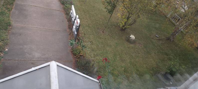 Pension am Messegelände图片