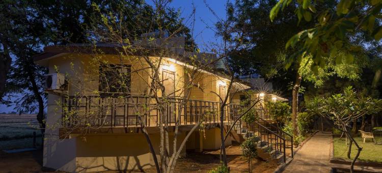 Avadale Tadoba - 不允许单身群体(Avadale Tadoba - Stag Groups Not Allowed)图片