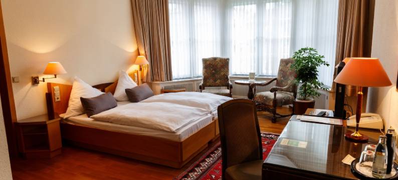 菩提树大道公园酒店(Parkhotel Unter den Linden)图片