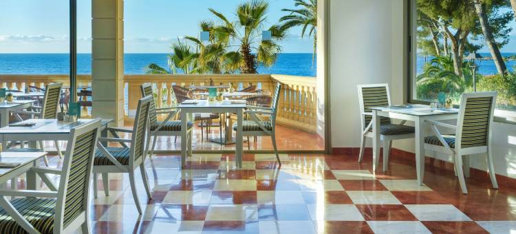 巴塞罗伊尔塔斯信天翁酒店(Barceló Illetas Albatros - Adults Only)图片