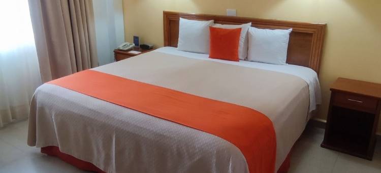 贝兹扎尔酒店(Hotel Báez Carrizal)图片