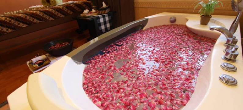 玛琅丽晶花园酒店(Regent's Park Hotel at Kayutangan Malang)图片