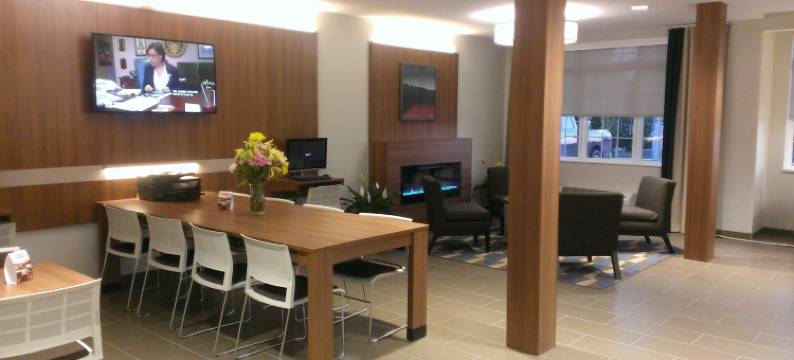 宾厄姆顿温德姆麦客达套房酒店(Microtel Inn & Suites by Wyndham Binghamton)图片