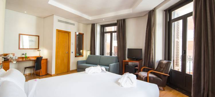 珀蒂宫普雷西亚多斯住宿(Petit Palace Preciados)图片