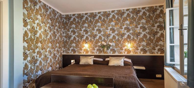 佩瑞格林酒店(Hotel Peregrin)图片