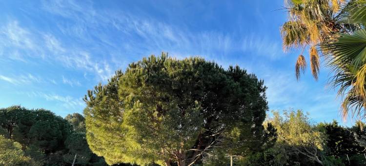 冒险距离家庭旅馆(Escapades Lointaines)图片