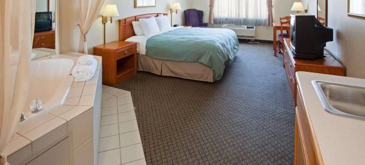 兰辛丽怡酒店(Country Inn & Suites by Radisson, Lansing, MI)图片