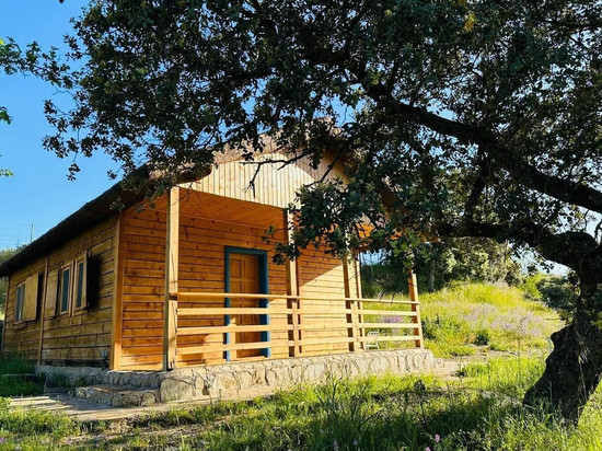 哈姆雷特的朋友们