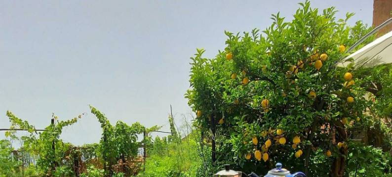 迪夫索布鲁之家(La Casa Sul Blu Albergo Diffuso)图片