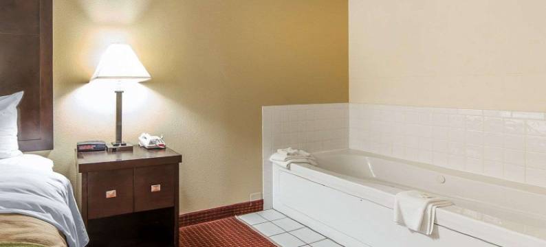 朴茨茅斯品质套房酒店(Quality Inn & Suites)图片