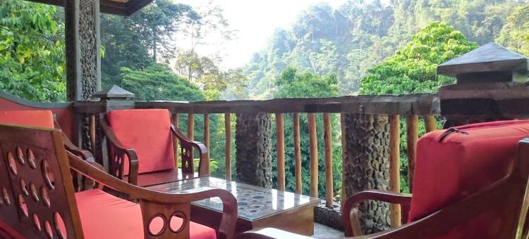 猩猩酒店(Hotel Orangutan)图片