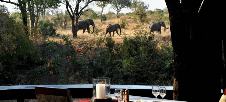因巴利旅舍(Imbali Safari Lodge)图片