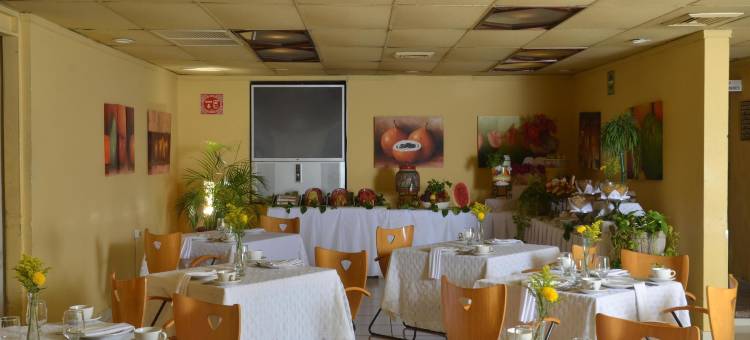 巴耶斯城使命酒店(Hotel Misión Ciudad Valles)图片