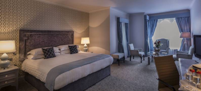 特雷希斯奥克伍德酒店(Treacys Oakwood Hotel, Shannon)图片