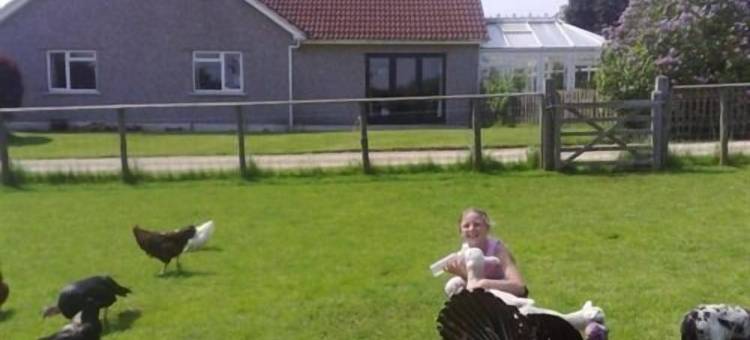 威赛德民宿(Wayside B&B)图片