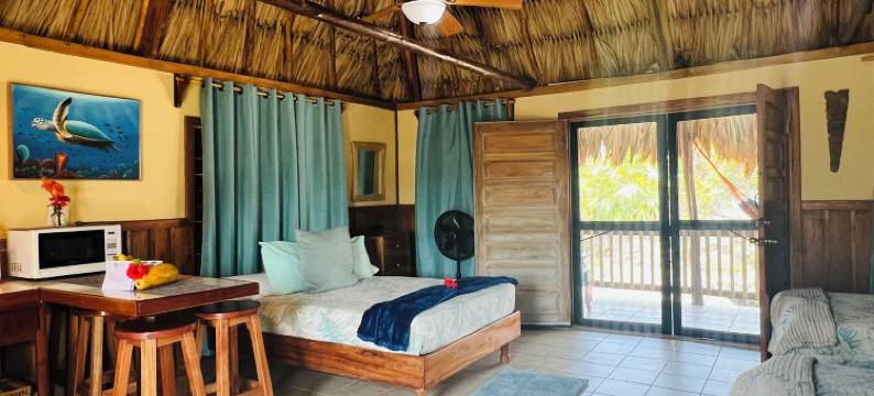 戴尔里奥酒店(Hotel Del Rio)图片