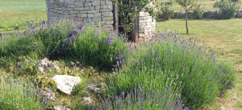 难忘住宿的正宗伊斯特里亚客房(Authentic Istrian Holiday Home for Unforgettable Stays)图片