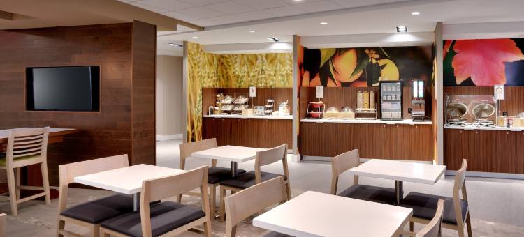 斯普林菲尔德北万枫酒店及套房(Fairfield Inn & Suites Springfield North)图片