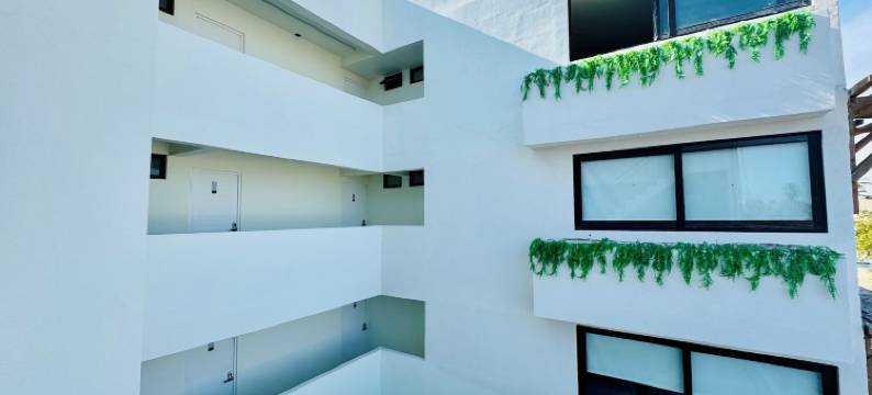 科尔梅纳马里纳卡波(Colmena Marina Cabos)图片