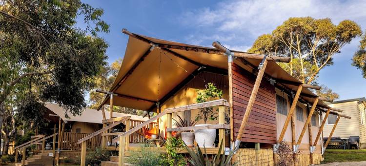 BIG4 艾瑞斯入口(BIG4 Aireys Inlet)图片