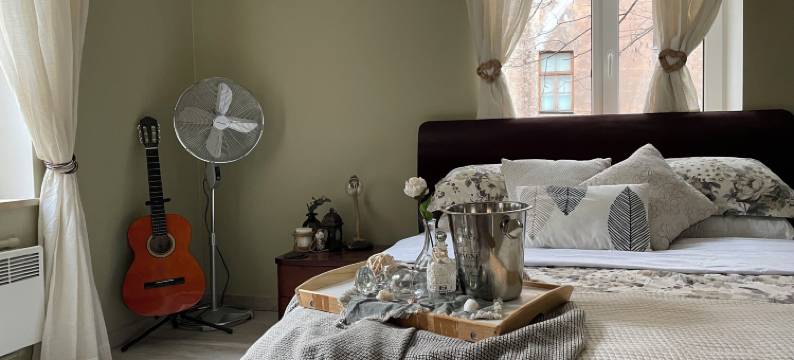 市中心精致的1卧室/浴室公寓配有免费停车位(Exquisite 1Br/Ba Apt w/Free Parking in City Center)图片