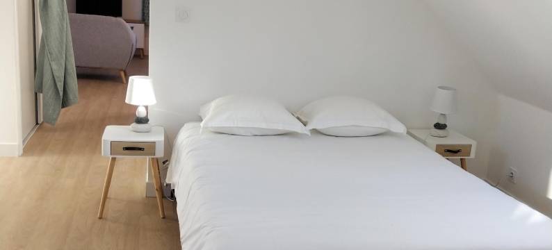 德玛内德乐斯瓦内尔酒店(Domaine de Lesvaniel)图片