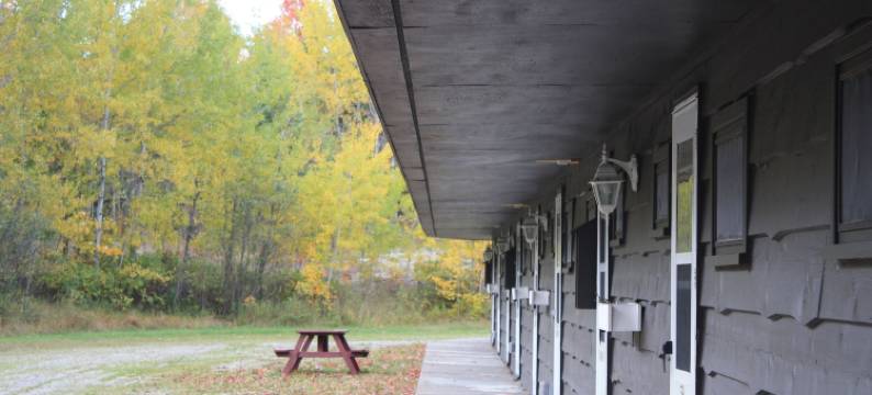 卡罗琳海滩汽车旅馆(Carolyn Beach Inn)图片