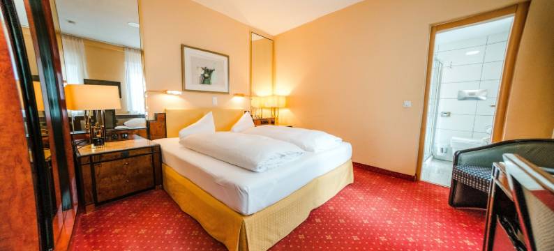 莱茵岩古堡酒店(Hotel Rheinfels - Radfahrer Willkommen)图片