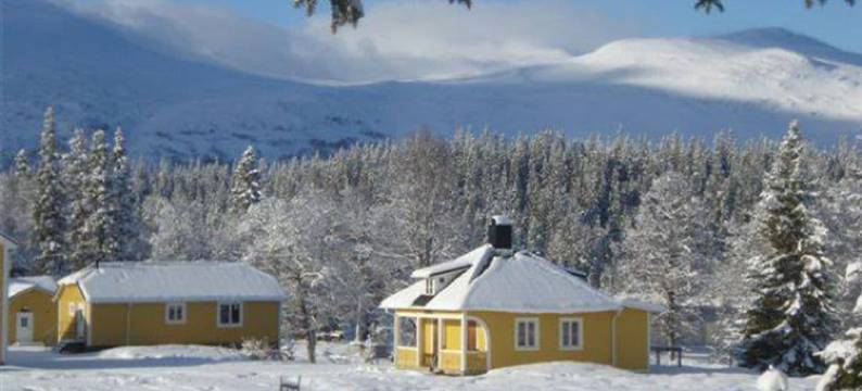 爱娜佛朔乐姆高山酒店(Enaforsholm Fjällgård)图片