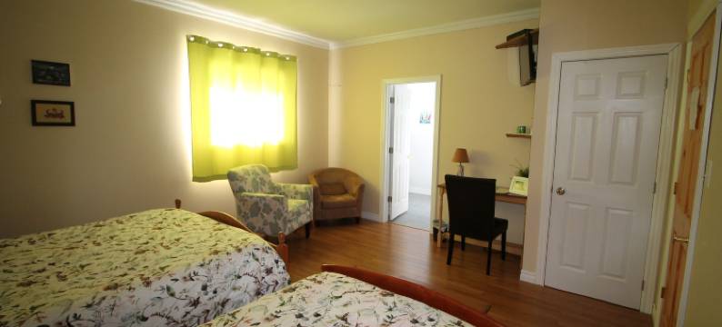 小提琴与海住宿加早餐旅馆(The Fiddle and the Sea Bed and Breakfast)图片