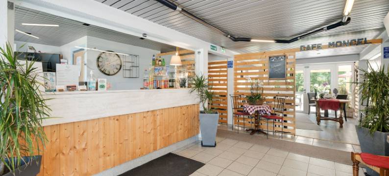 南卢内维尔阿卡西亚南希酒店(Hôtel Acacia Nancy Sud Lunéville)图片