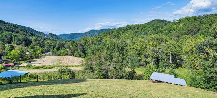 塔卡西吉河畔小屋，带山景！(Riverfront Cabin w/ Mtn Views in Tuckasegee!)图片
