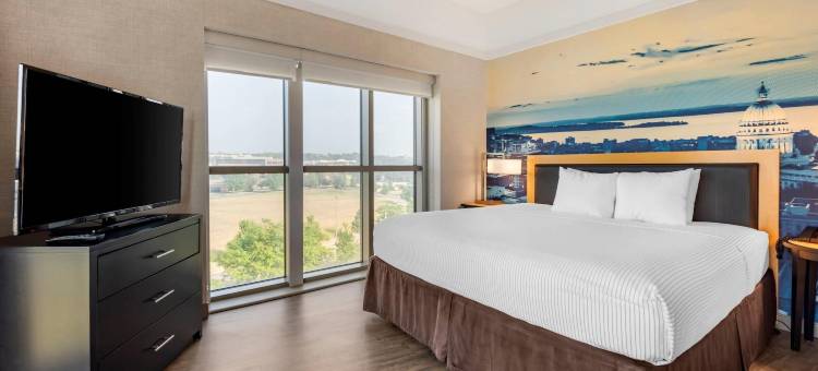 麦迪逊东坎布里亚酒店(Cambria Hotel Madison East)图片